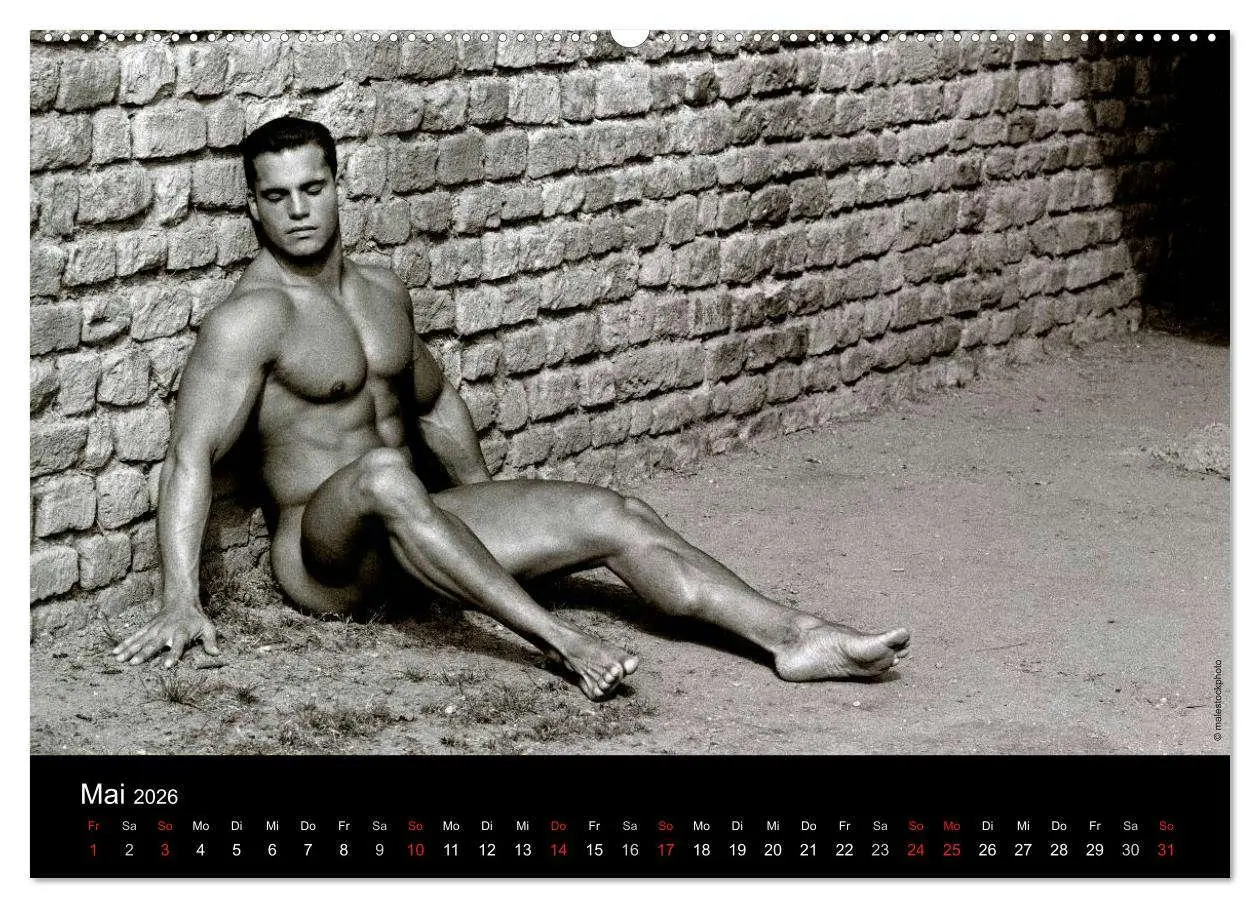 Bild: 9783516027693 | Traummänner Männerträume (hochwertiger Premium Wandkalender 2026...