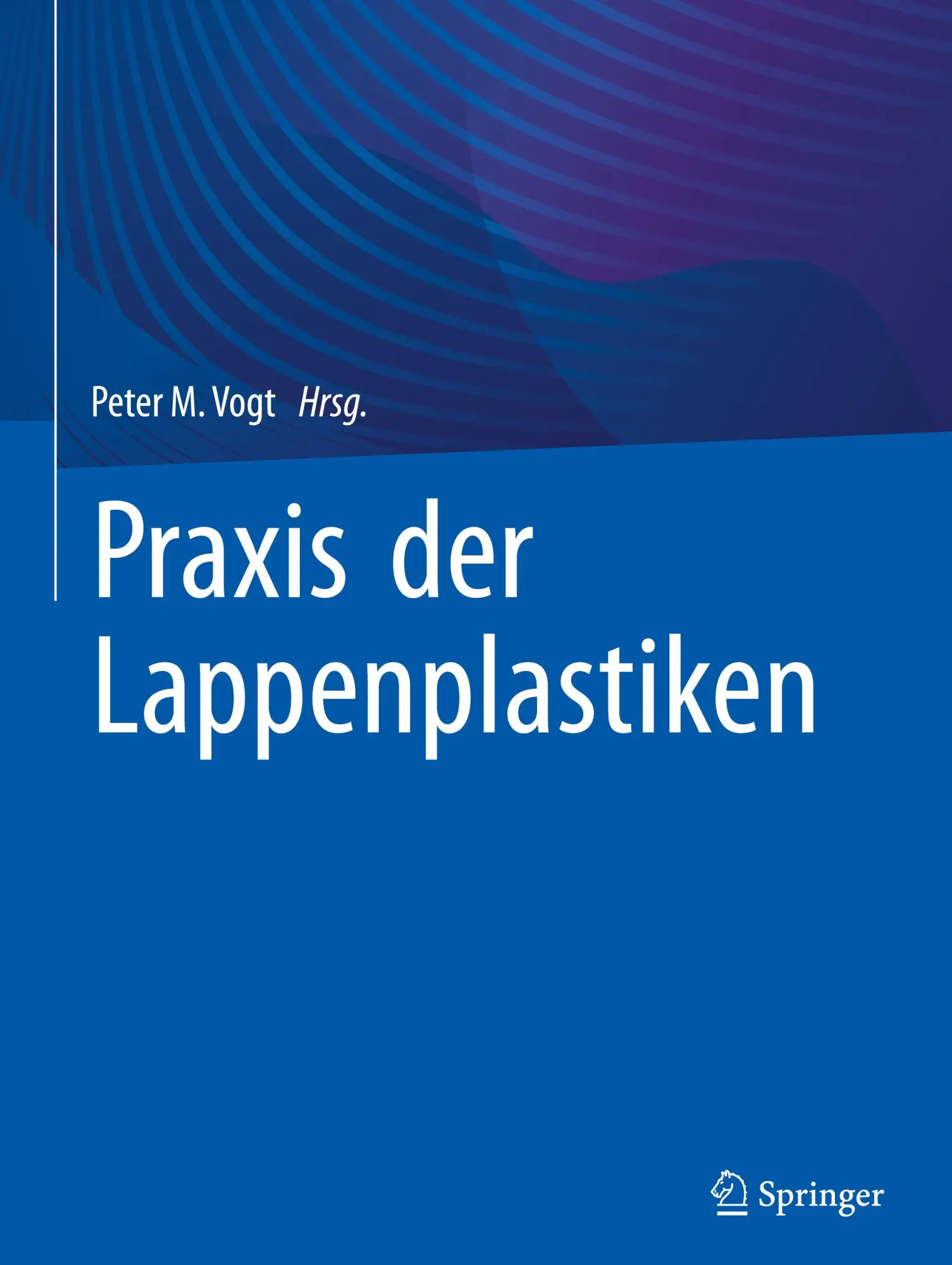 Cover: 9783662627693 | Praxis der Lappenplastiken | Peter M. Vogt | Buch | xiv | Deutsch