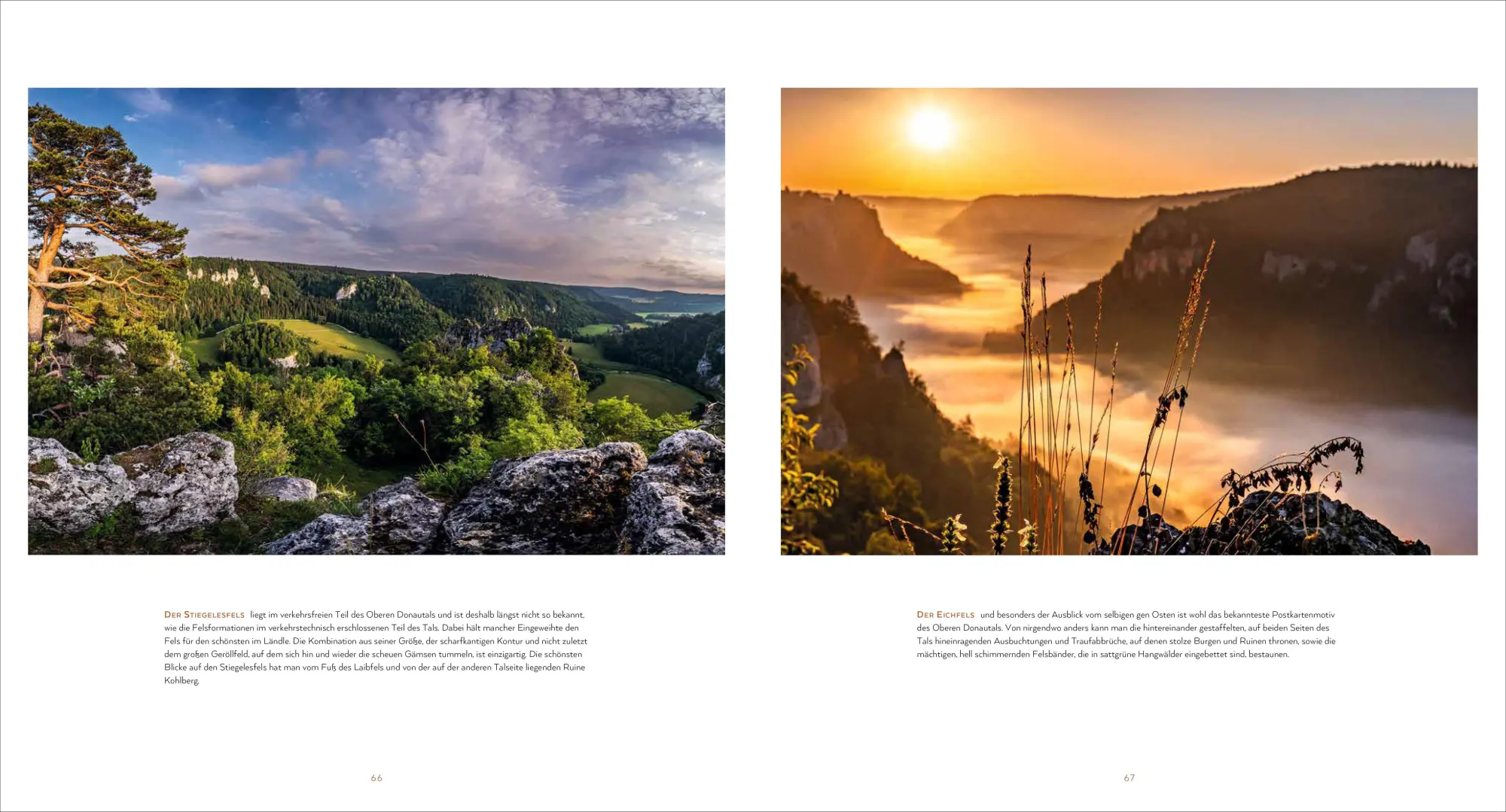 Bild: 9783862467693 | Wilde Bergwelt im Südwesten | Philipp Sauer | Buch | 192 S. | Deutsch