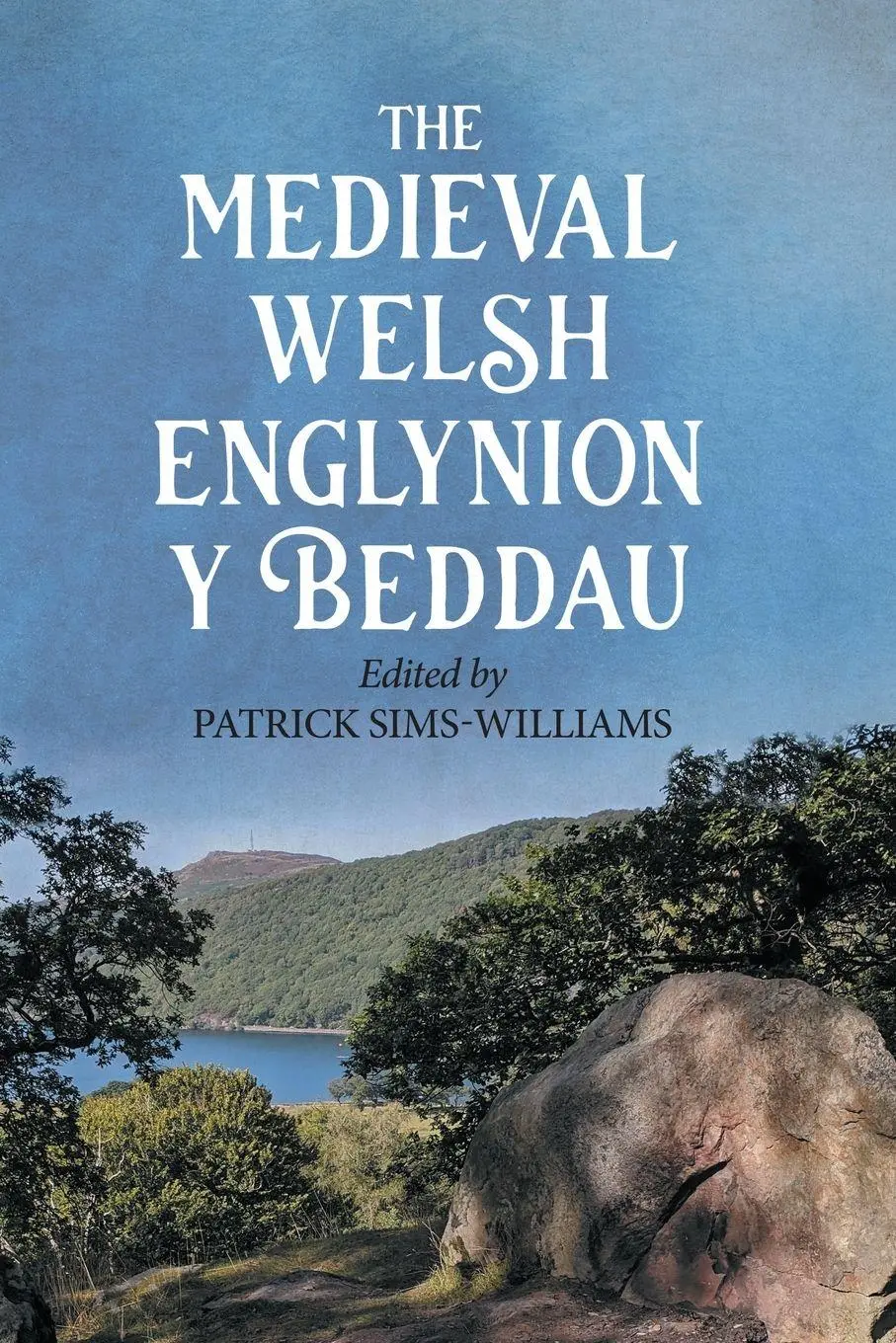 Cover: 9781843847793 | The Medieval Welsh Englynion y Beddau | Patrick Sims-Williams | Buch