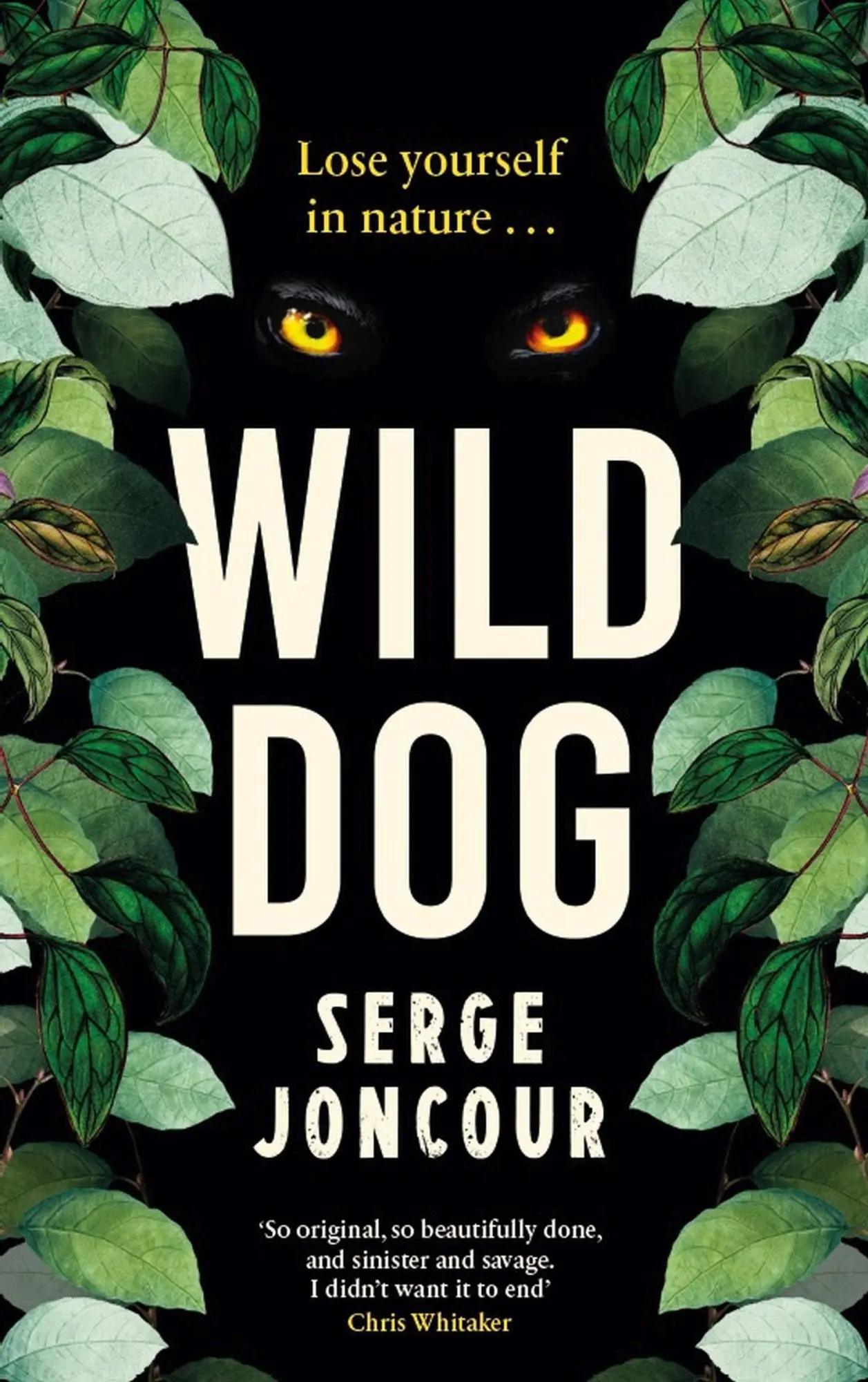Cover: 9781910477793 | Wild Dog: Sinister and savage psychological thriller | Serge Joncour