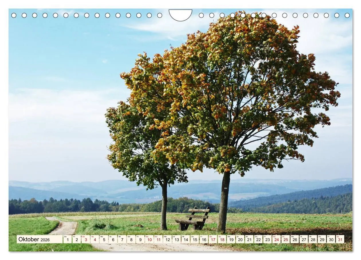 Bild: 9783457787793 | Viele Wege - ein Ziel Wandern im Odenwald (Wandkalender 2026 DIN A4...