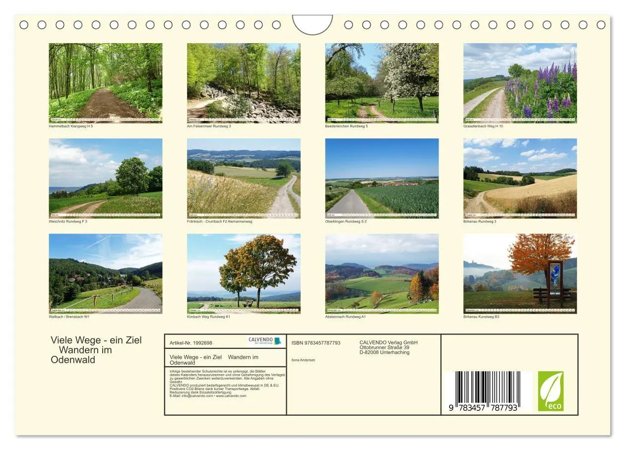Bild: 9783457787793 | Viele Wege - ein Ziel Wandern im Odenwald (Wandkalender 2026 DIN A4...
