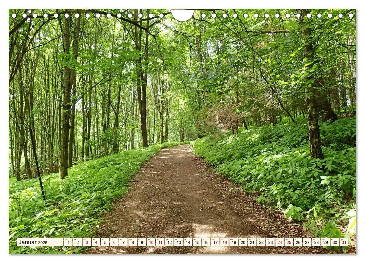 Bild: 9783457787793 | Viele Wege - ein Ziel Wandern im Odenwald (Wandkalender 2026 DIN A4...