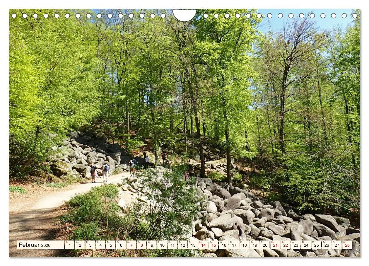 Bild: 9783457787793 | Viele Wege - ein Ziel Wandern im Odenwald (Wandkalender 2026 DIN A4...