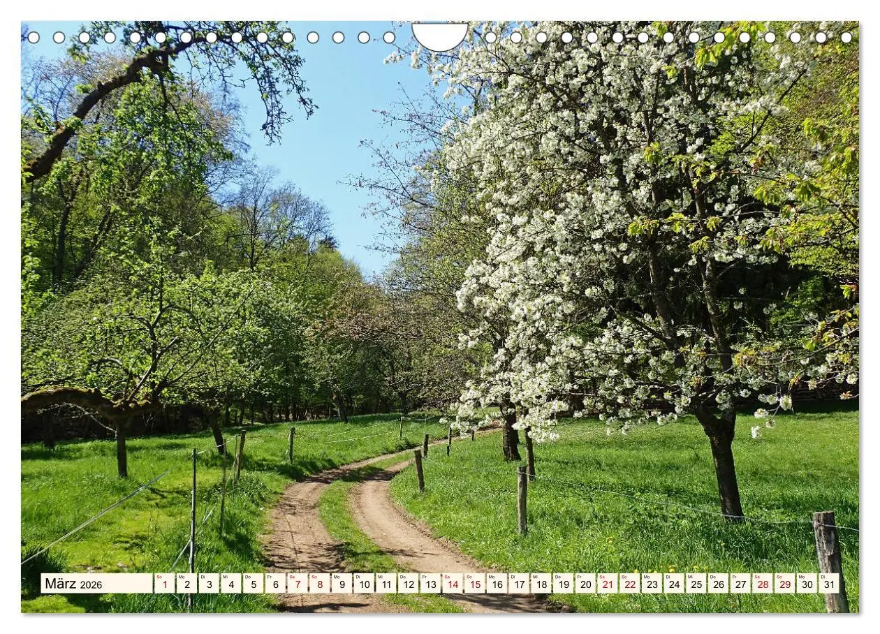 Bild: 9783457787793 | Viele Wege - ein Ziel Wandern im Odenwald (Wandkalender 2026 DIN A4...
