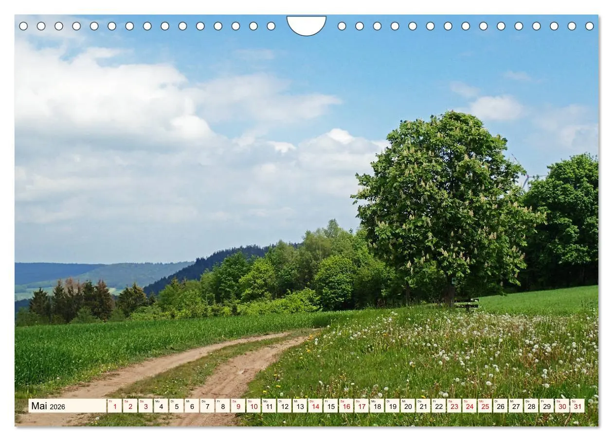 Bild: 9783457787793 | Viele Wege - ein Ziel Wandern im Odenwald (Wandkalender 2026 DIN A4...