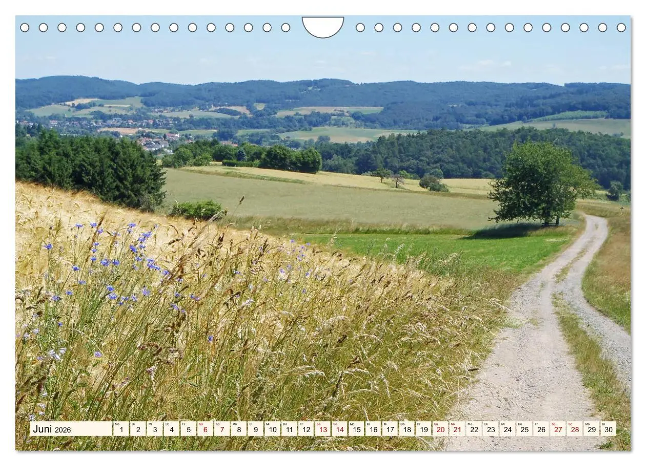 Bild: 9783457787793 | Viele Wege - ein Ziel Wandern im Odenwald (Wandkalender 2026 DIN A4...