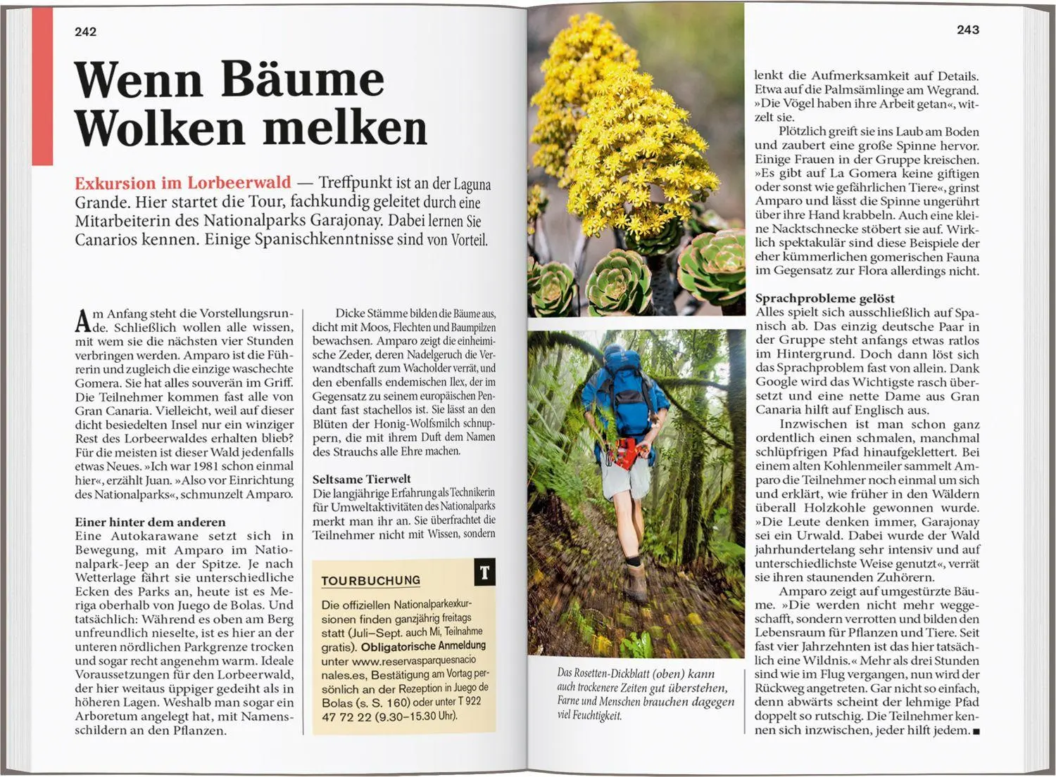 Bild: 9783616007793 | DUMONT Reise-Taschenbuch Reiseführer La Gomera | Oliver Breda (u. a.)