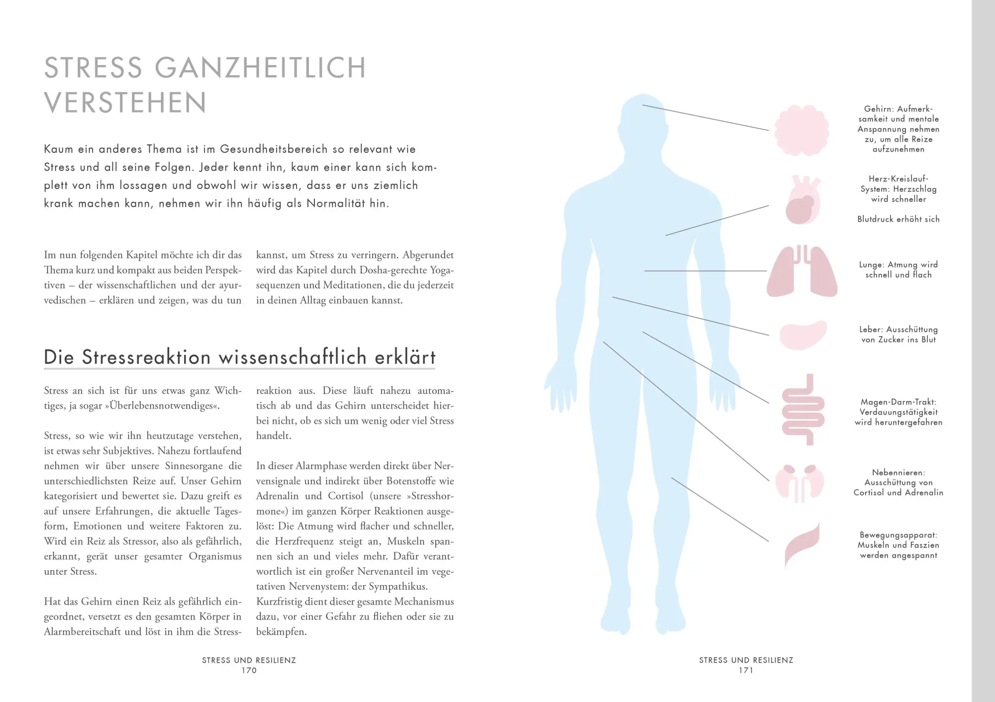 Bild: 9783517097893 | Ayurveda for Life | Janna Scharfenberg | Buch | 208 S. | Deutsch