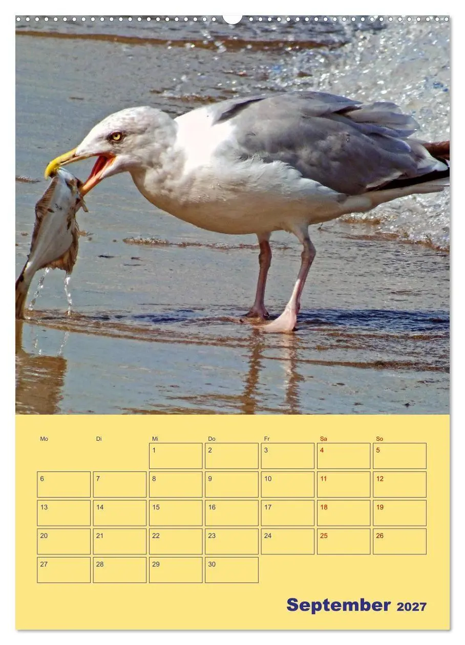 Bild: 9783569337893 | Sehnsuchtsort Warnemünde (Wandkalender 2027 DIN A2 hoch), CALVENDO...