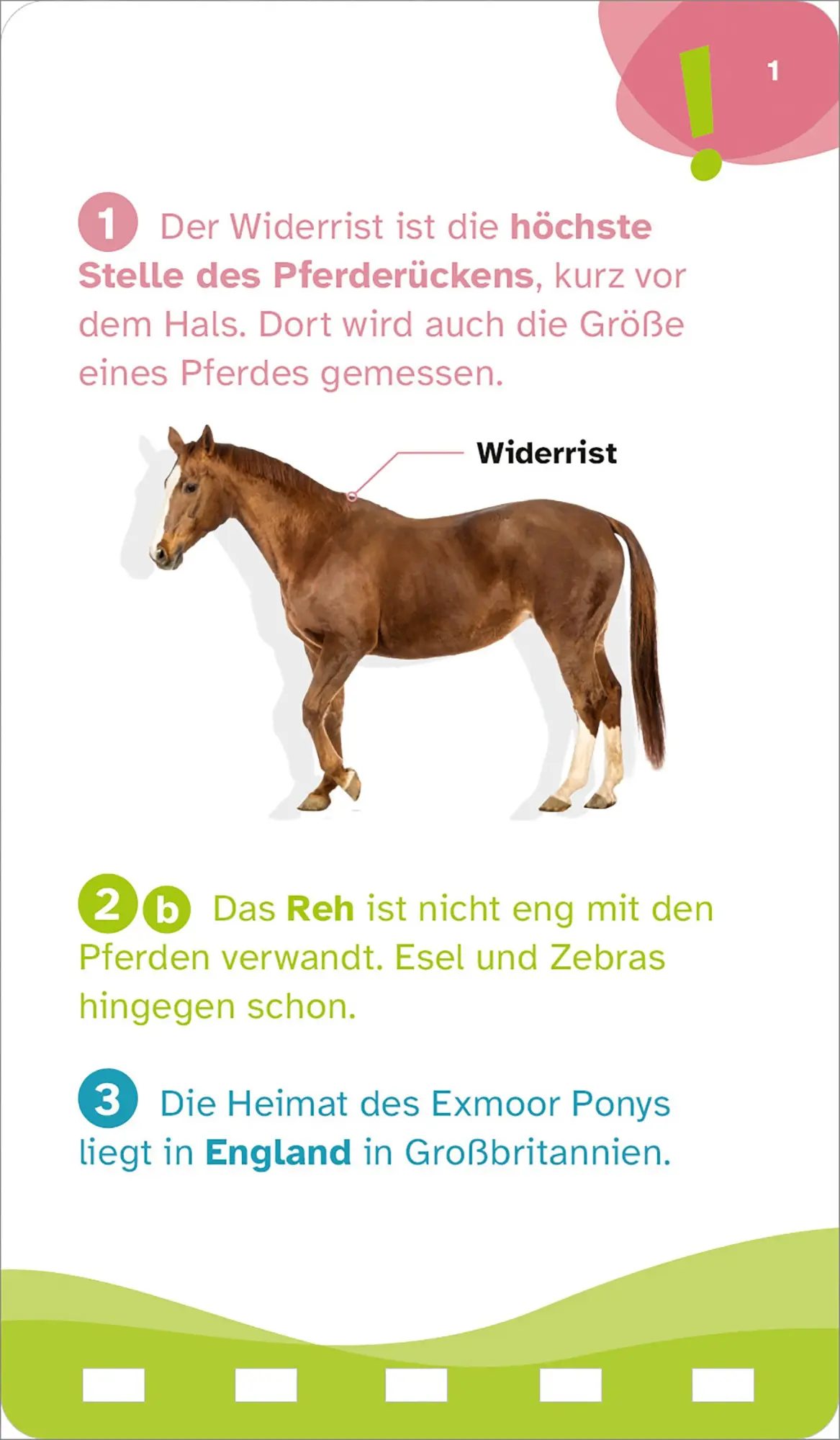 Bild: 9783788677893 | WAS IST WAS Quiz Pferde | KG | Taschenbuch | WAS IST WAS Quizblöcke