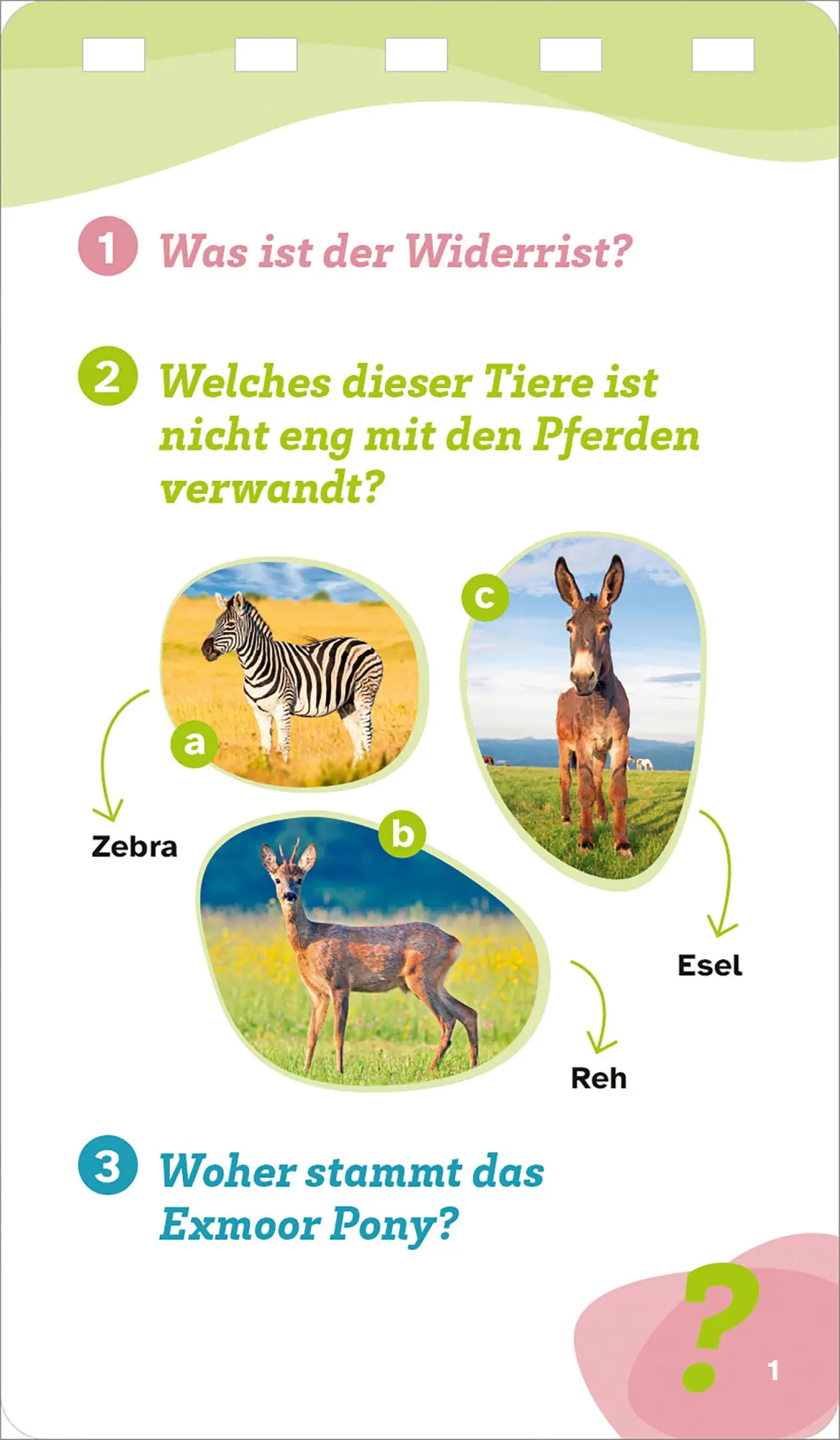 Bild: 9783788677893 | WAS IST WAS Quiz Pferde | KG | Taschenbuch | WAS IST WAS Quizblöcke