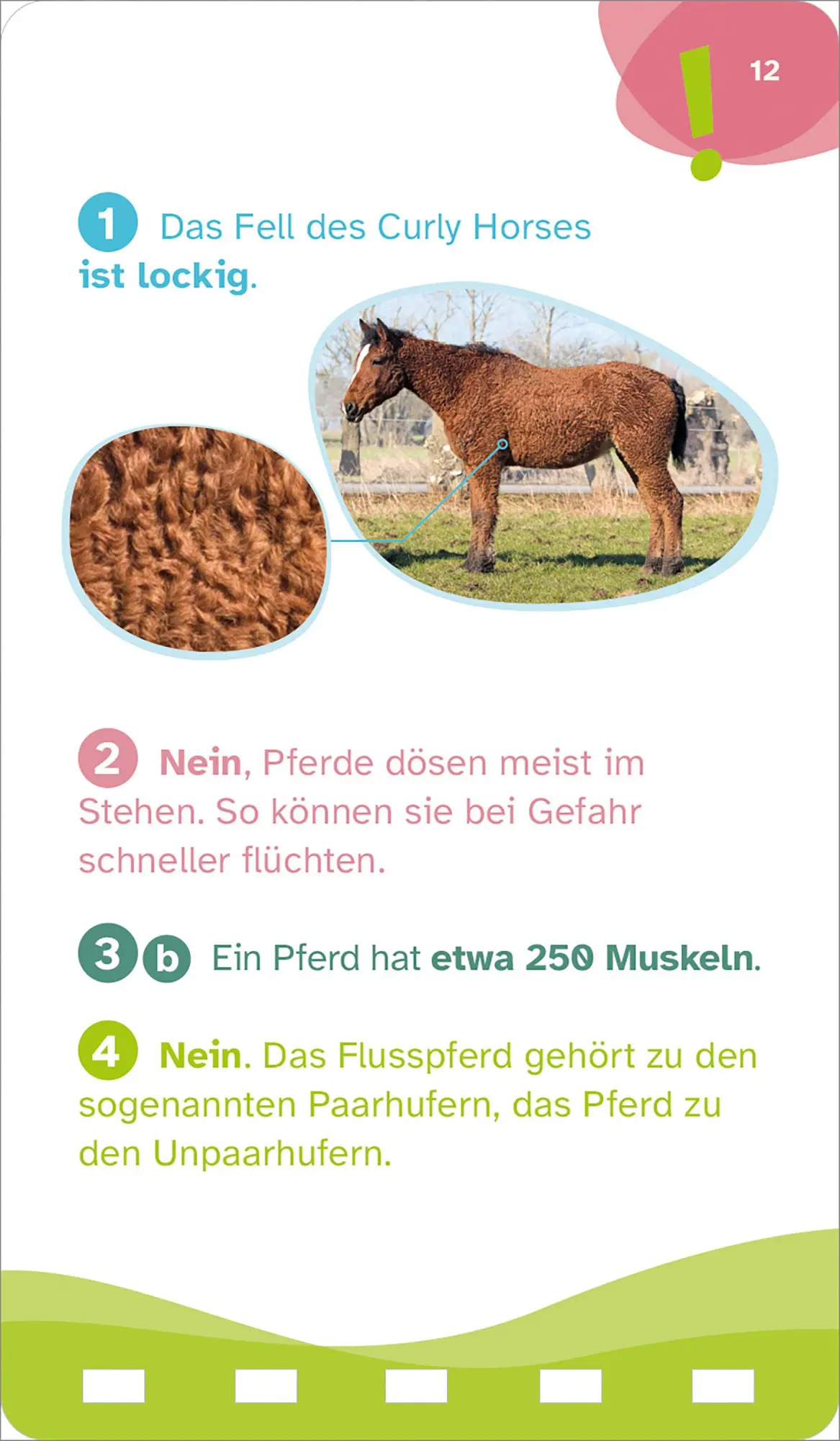 Bild: 9783788677893 | WAS IST WAS Quiz Pferde | KG | Taschenbuch | WAS IST WAS Quizblöcke