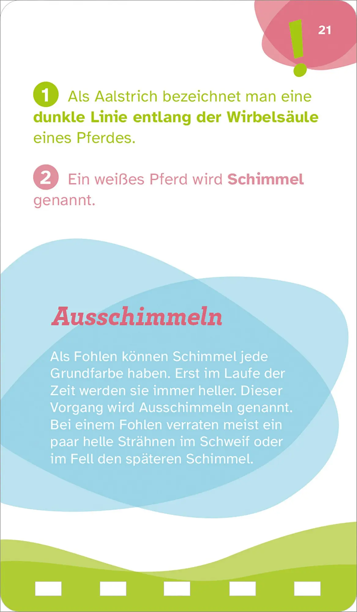 Bild: 9783788677893 | WAS IST WAS Quiz Pferde | KG | Taschenbuch | WAS IST WAS Quizblöcke