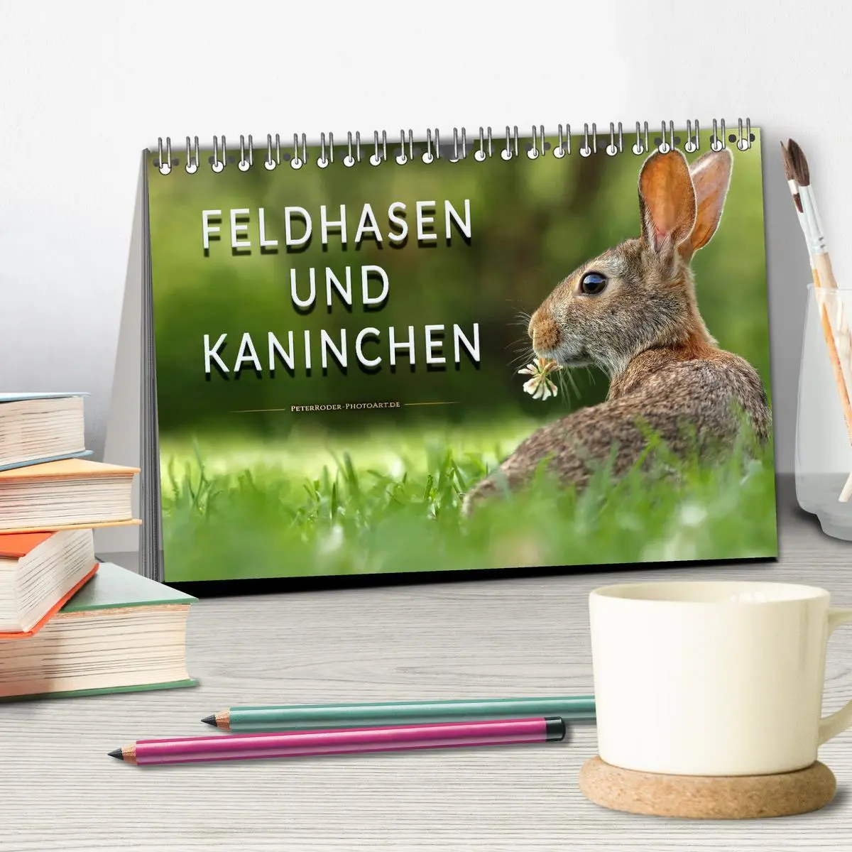Bild: 9783457837993 | Feldhasen und Kaninchen (Tischkalender 2026 DIN A5 quer), CALVENDO...