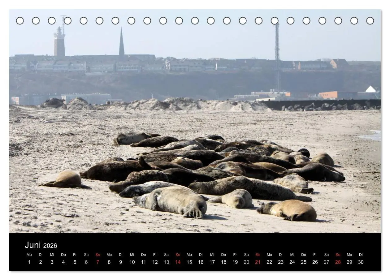 Bild: 9783516167993 | Helgoland (Tischkalender 2026 DIN A5 quer), CALVENDO Monatskalender