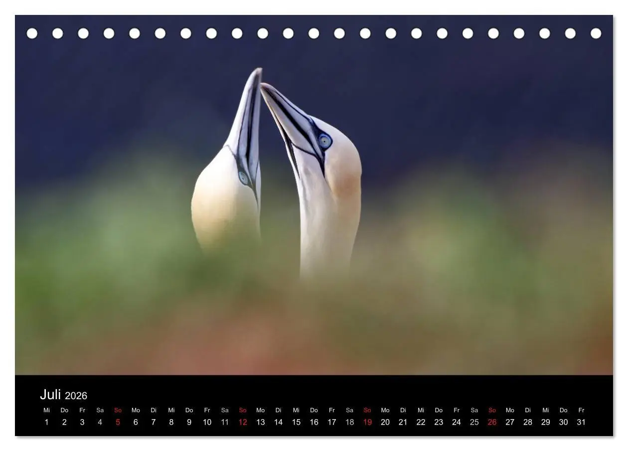 Bild: 9783516167993 | Helgoland (Tischkalender 2026 DIN A5 quer), CALVENDO Monatskalender