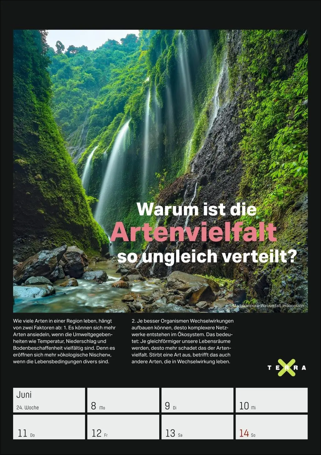 Bild: 9783840037993 | Terra X - Das Wunder Erde Wochenplaner 2026 | Kalender | 54 S. | 2026