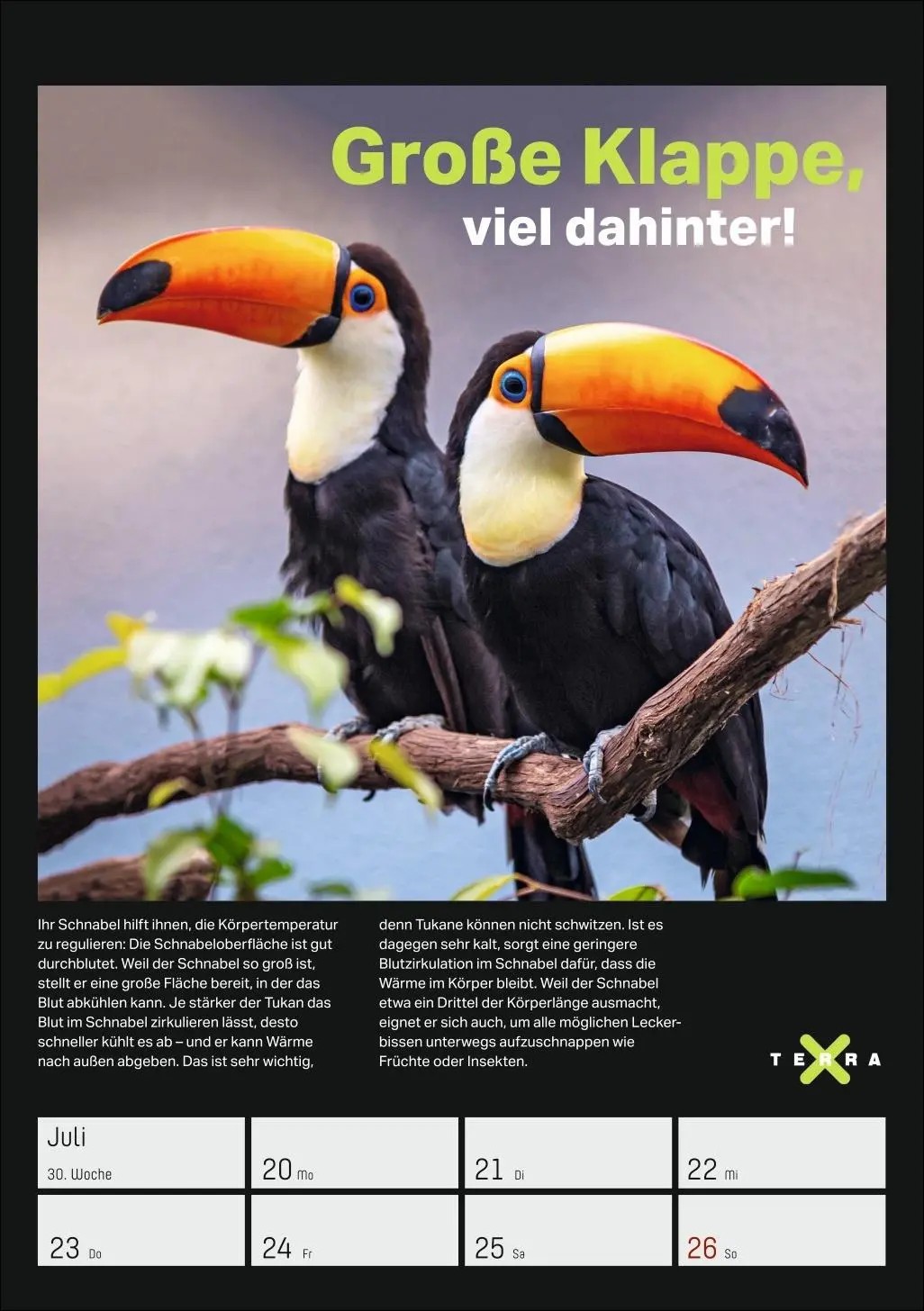 Bild: 9783840037993 | Terra X - Das Wunder Erde Wochenplaner 2026 | Kalender | 54 S. | 2026