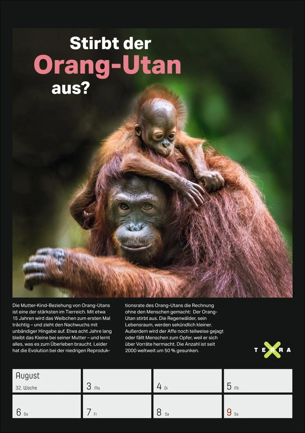 Bild: 9783840037993 | Terra X - Das Wunder Erde Wochenplaner 2026 | Kalender | 54 S. | 2026