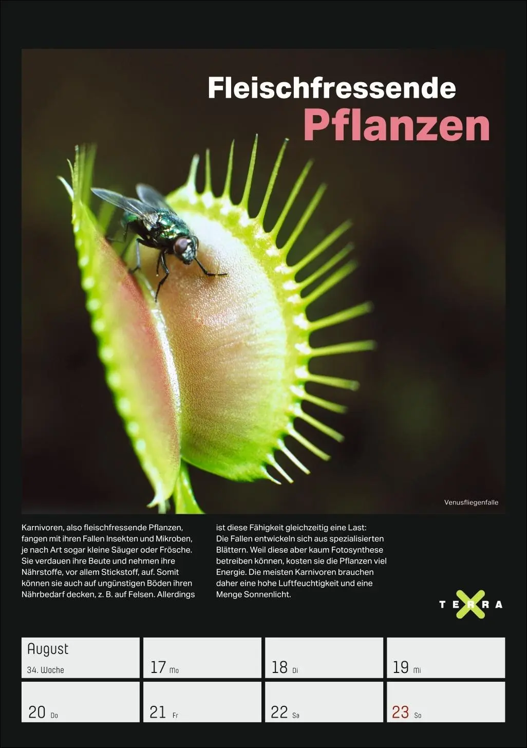 Bild: 9783840037993 | Terra X - Das Wunder Erde Wochenplaner 2026 | Kalender | 54 S. | 2026