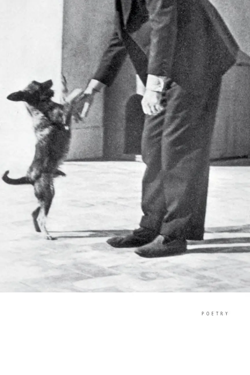 Rückseite: 9781841598093 | Montale | Poems | Eugenio Montale | Buch | Gebunden | Englisch | 2020