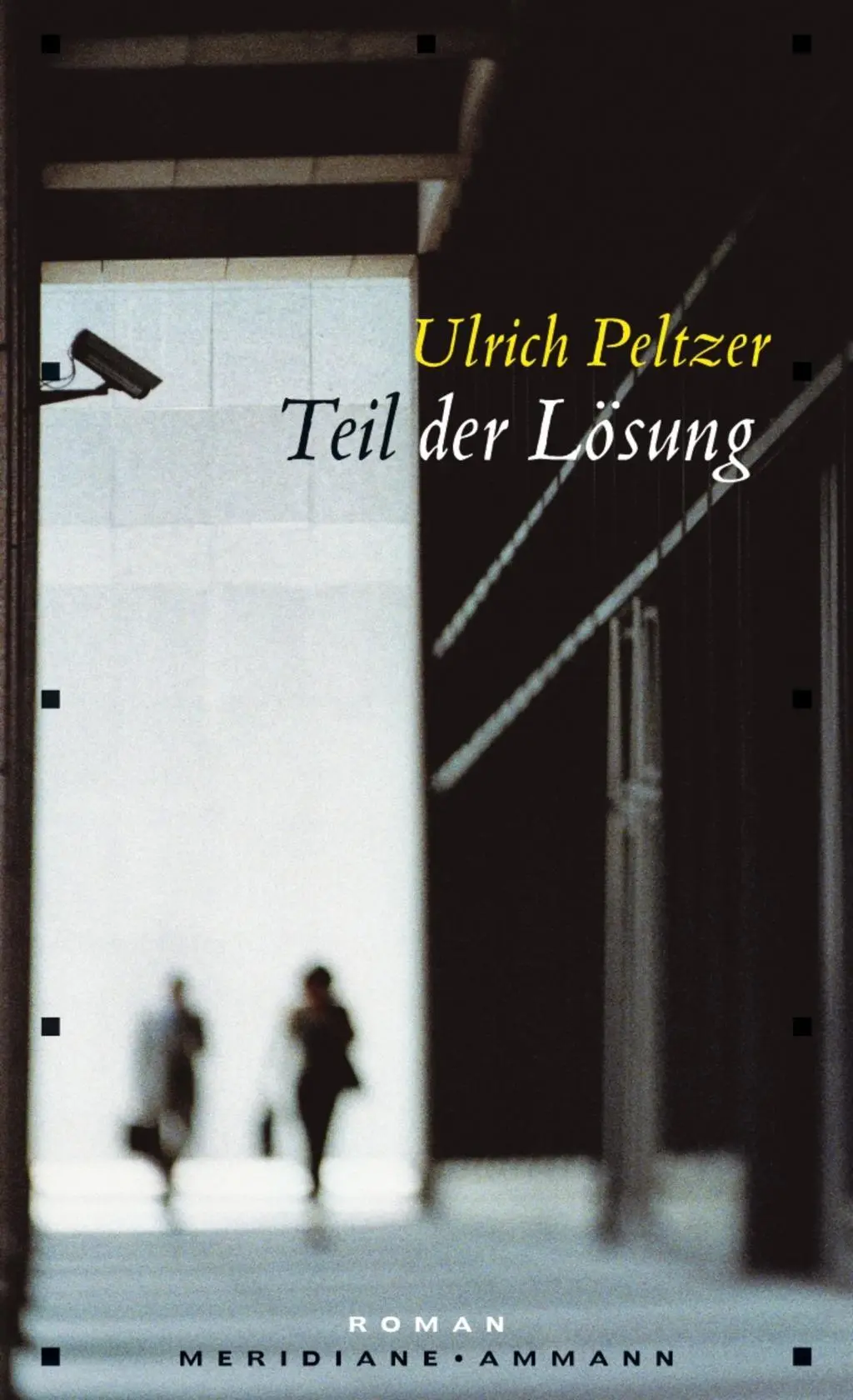Cover: 9783100608093 | Teil der Lösung | Roman, Meridiane 113 | Ulrich Peltzer | Buch | 2007
