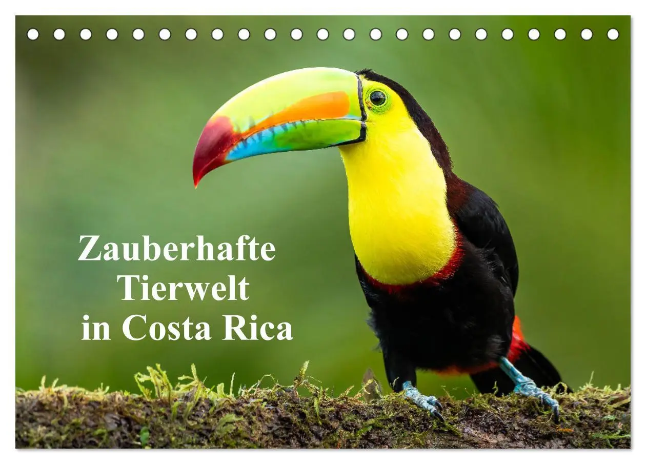 Cover: 9783457418093 | Zauberhaft Tierwelt in Costa Rica (Tischkalender 2026 DIN A5 quer),...