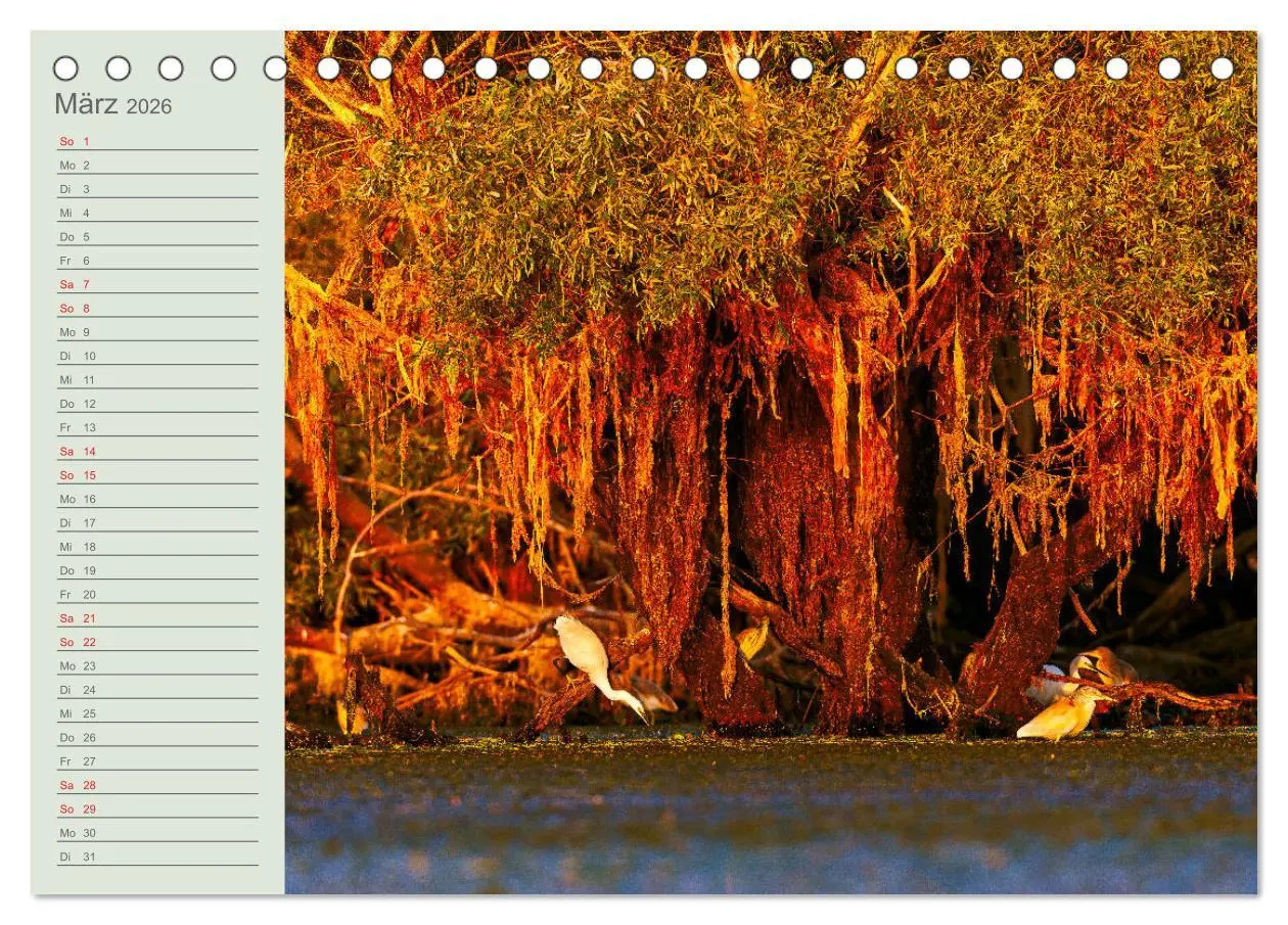 Bild: 9783457658093 | Donaudelta - Tierparadies am Schwarzen Meer (Tischkalender 2026 DIN...