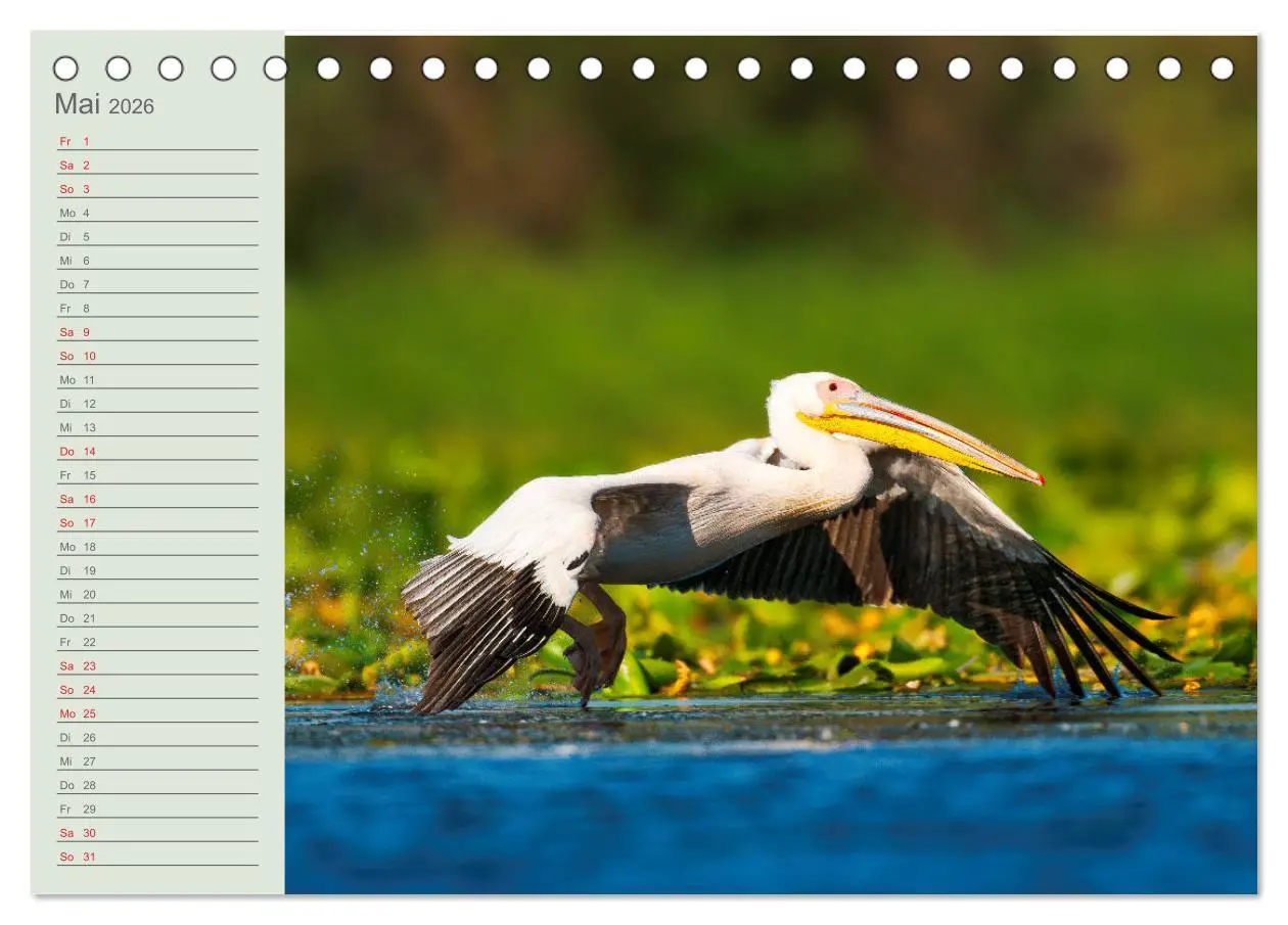 Bild: 9783457658093 | Donaudelta - Tierparadies am Schwarzen Meer (Tischkalender 2026 DIN...