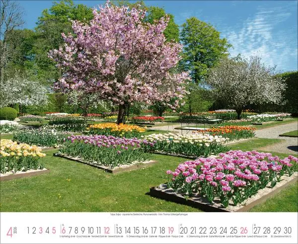 Bild: 9783731888093 | Traumhafte Gärten 2026 | Verlag Korsch | Kalender | 14 S. | Deutsch