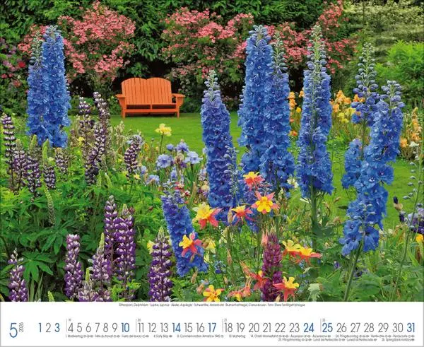 Bild: 9783731888093 | Traumhafte Gärten 2026 | Verlag Korsch | Kalender | 14 S. | Deutsch