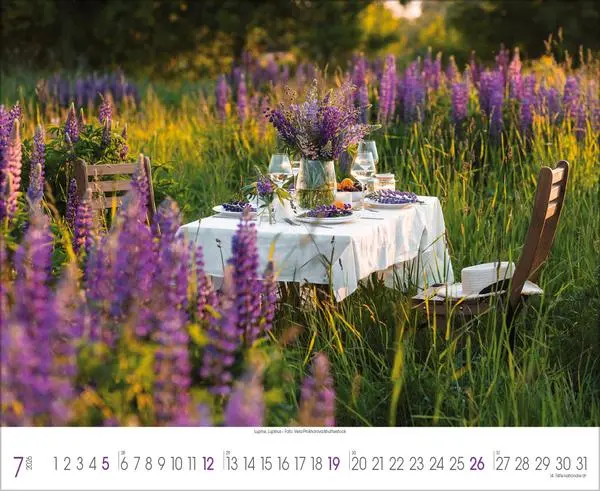 Bild: 9783731888093 | Traumhafte Gärten 2026 | Verlag Korsch | Kalender | 14 S. | Deutsch