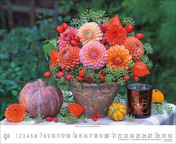 Bild: 9783731888093 | Traumhafte Gärten 2026 | Verlag Korsch | Kalender | 14 S. | Deutsch