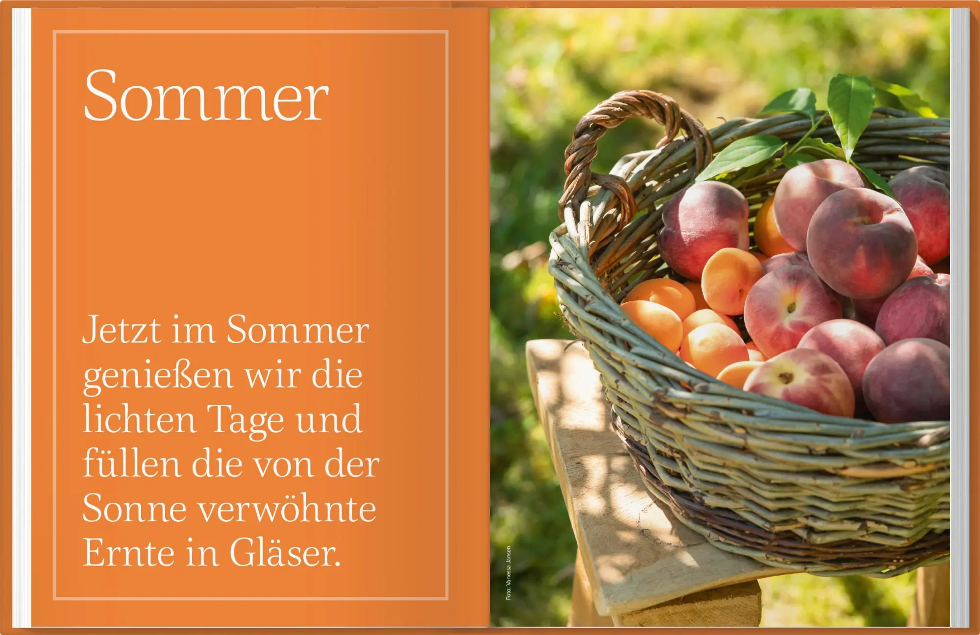 Bild: 9783784358093 | Landlust Einmachen | Buch | 160 S. | Deutsch | 2025