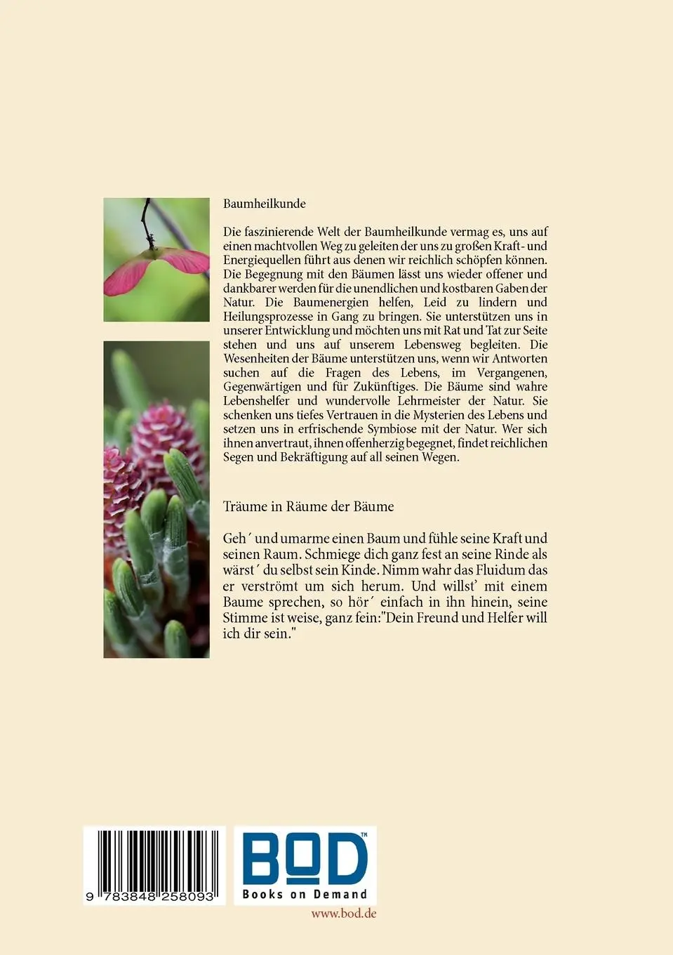 Rückseite: 9783848258093 | Träume in Räume der Bäume | Baumheilkunde | Matthias Felder | Buch