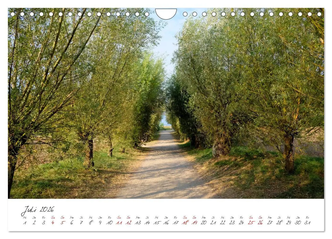 Bild: 9783457888193 | Osteeinsel Poel (Wandkalender 2026 DIN A4 quer), CALVENDO...