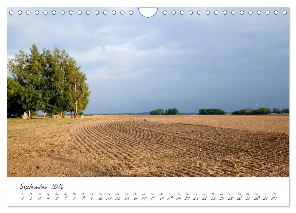 Bild: 9783457888193 | Osteeinsel Poel (Wandkalender 2026 DIN A4 quer), CALVENDO...