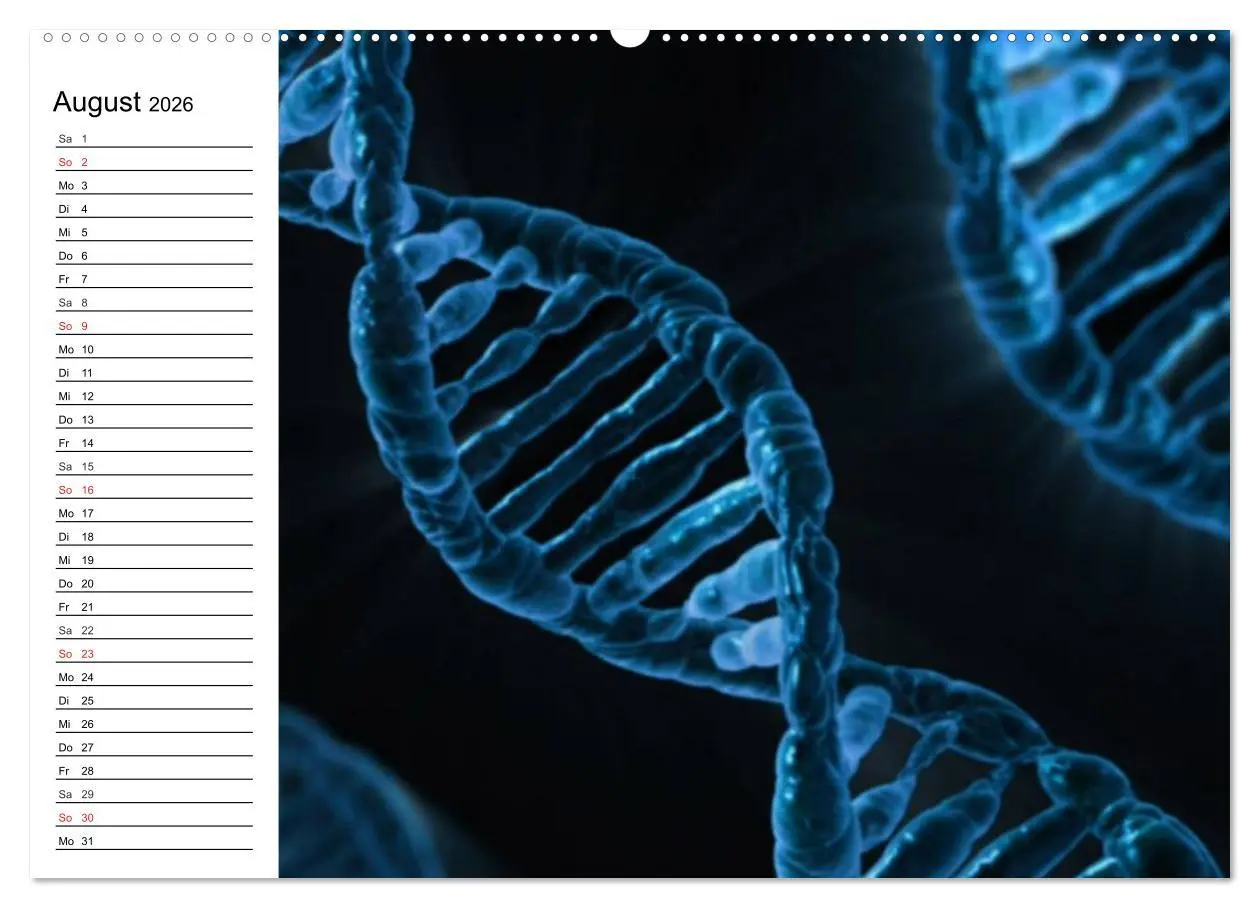 Bild: 9783457958193 | Mikrobiologie. Mikroorganismen, Genetik und Zellen (hochwertiger...