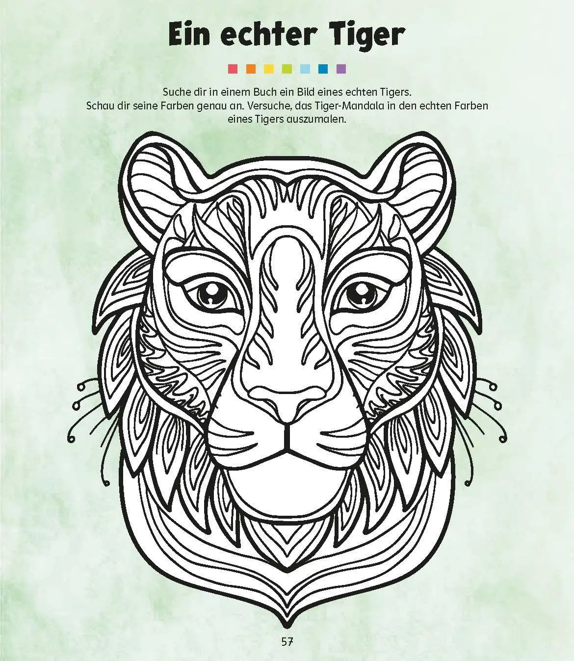Bild: 9783129498293 | QUID+ 50 Mandalas | für Kinder von 3-6 Jahren mit Eltern-Guide | Buch
