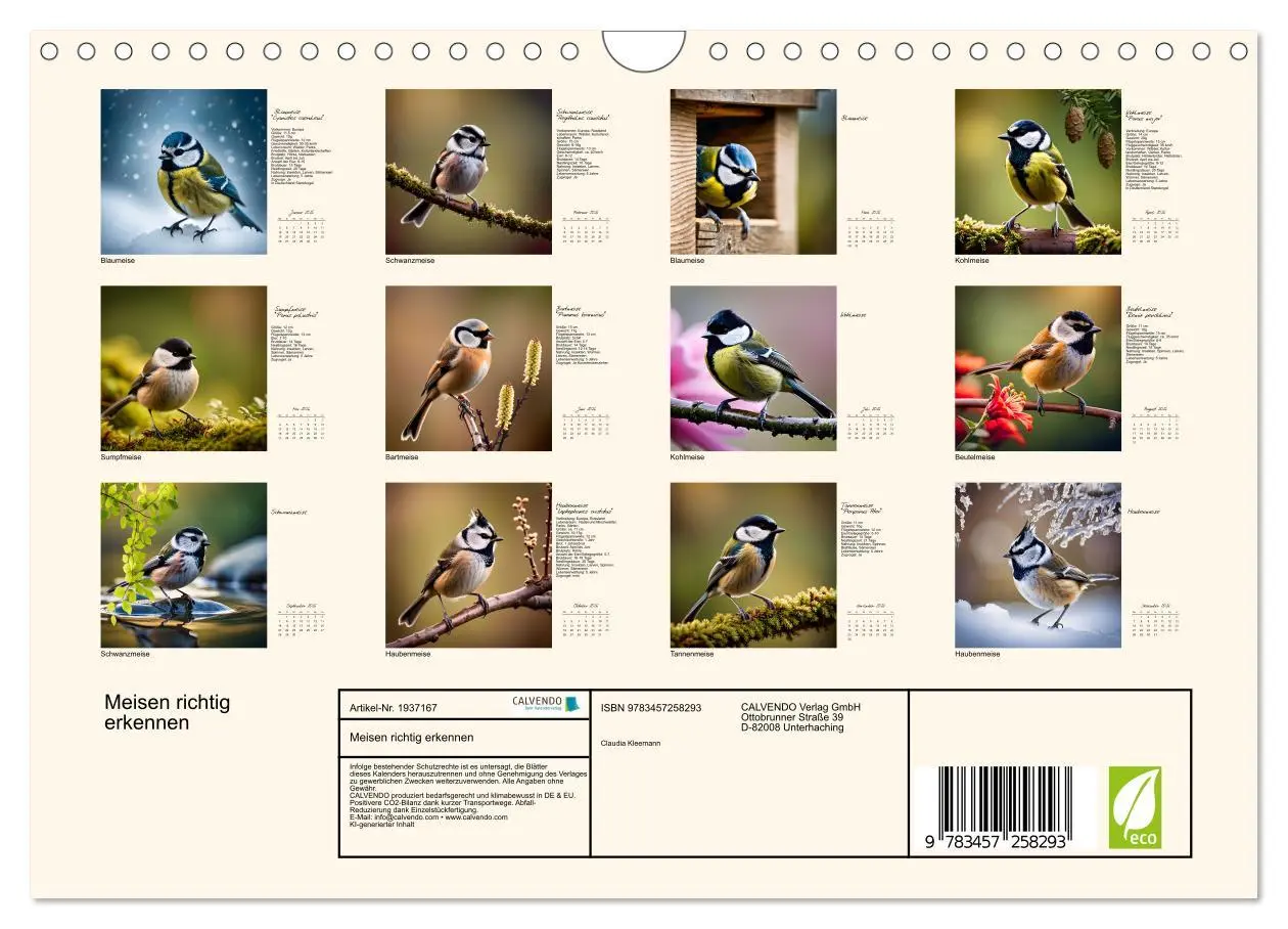 Bild: 9783457258293 | Meisen richtig erkennen (Wandkalender 2026 DIN A4 quer), CALVENDO...