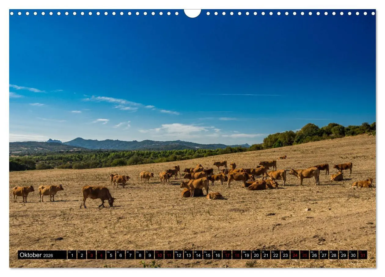 Bild: 9783457878293 | Wildes Sardinien 2026 (Wandkalender 2026 DIN A3 quer), CALVENDO...