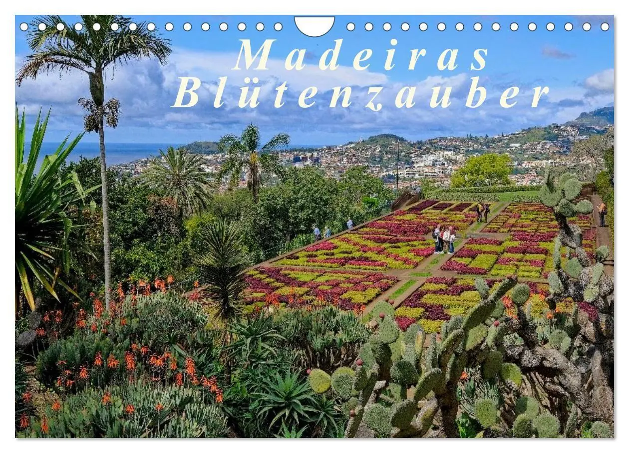 Cover: 9783516108293 | Madeiras Blütenzauber (Wandkalender 2026 DIN A4 quer), CALVENDO...