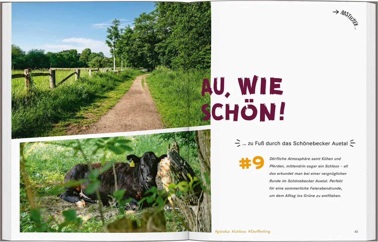 Bild: 9783616028293 | 52 kleine &amp; große Eskapaden in und um Bremen | Ab nach draußen! | Buch