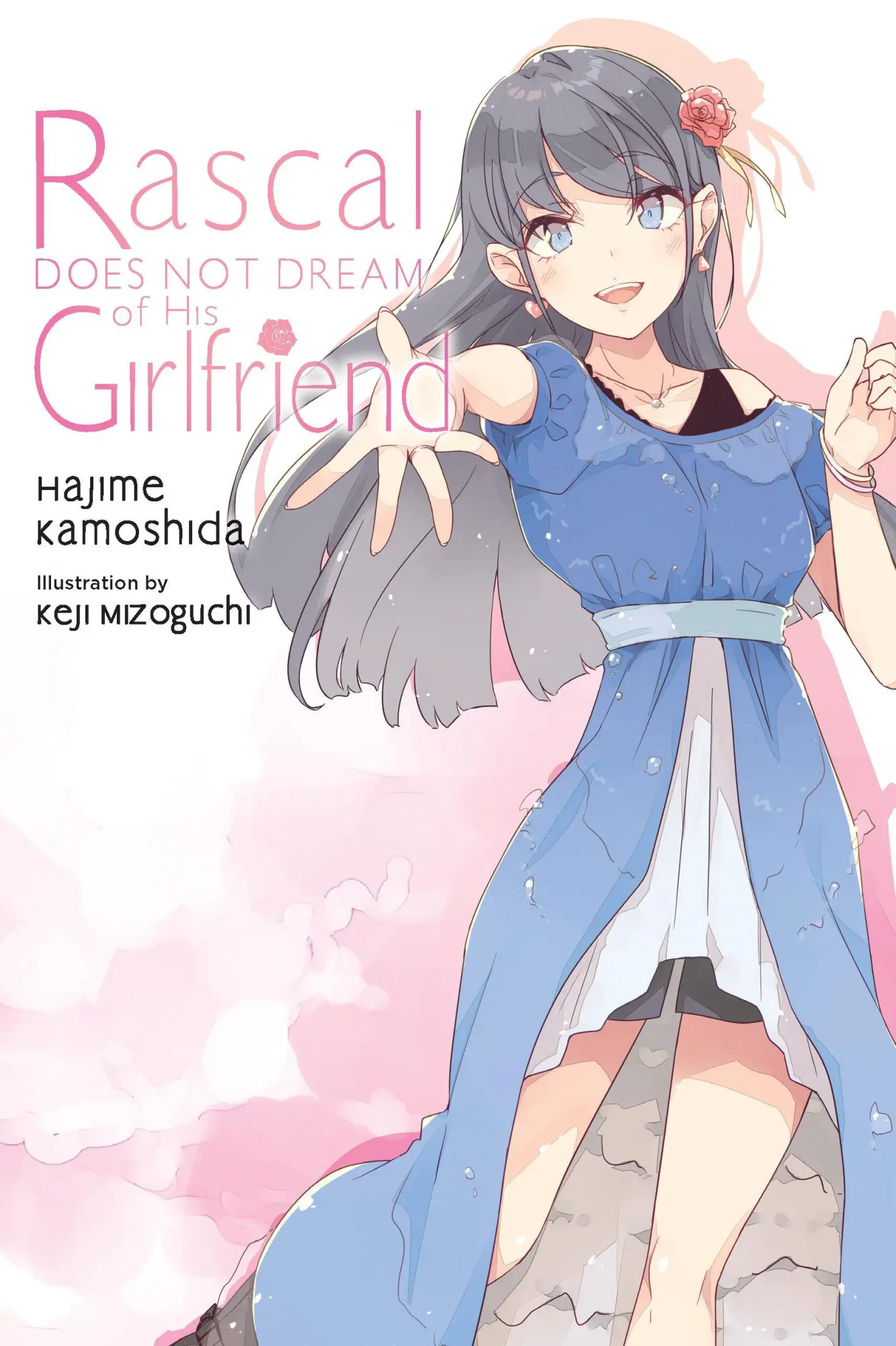 Cover: 9798855418293 | Rascal Does Not Dream of His Girlfriend (Light Novel) | Volume 14