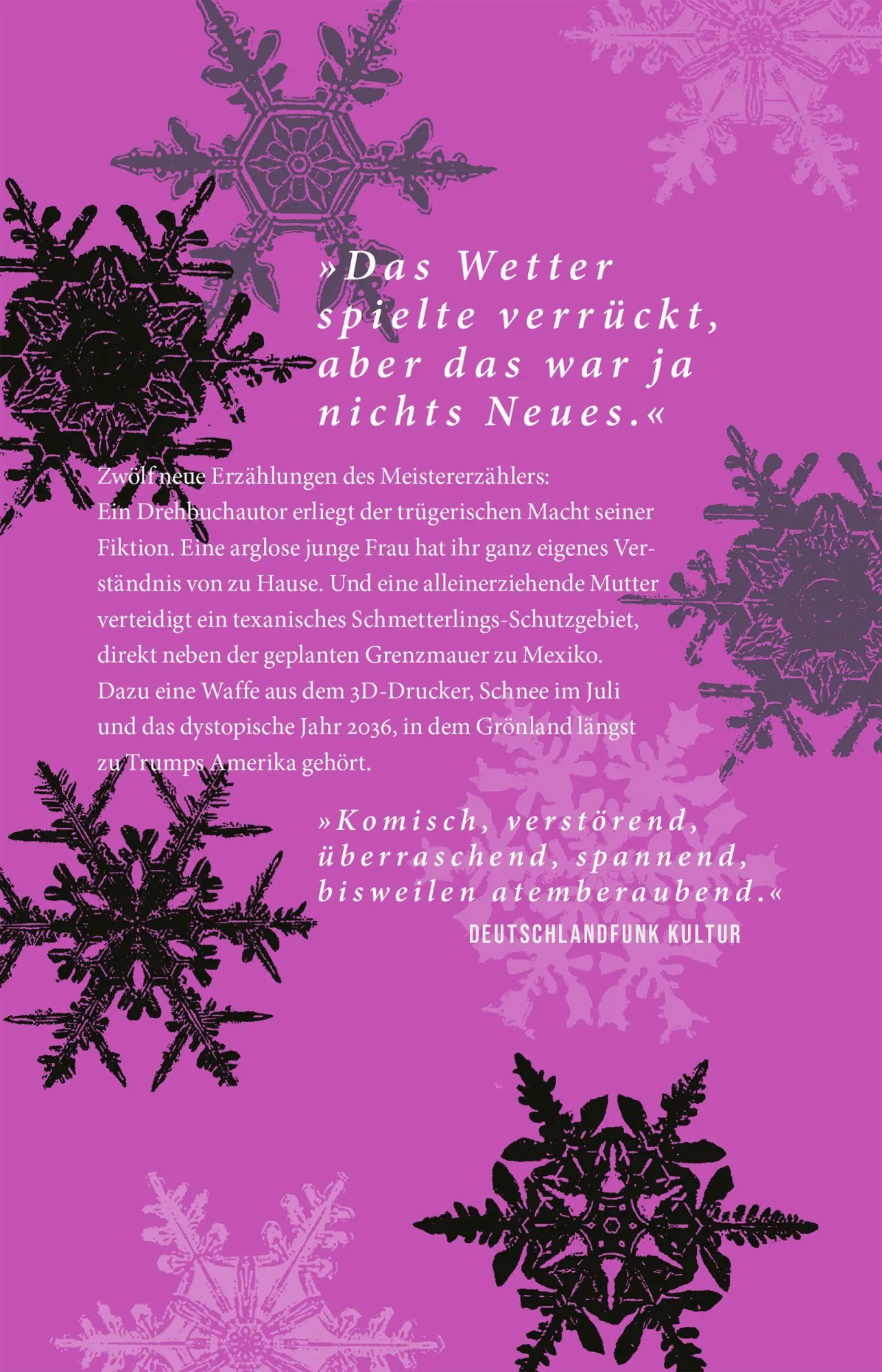 Bild: 9783446288393 | Das Ende ist nur ein Anfang | Storys | T. C. Boyle | Buch | 240 S.