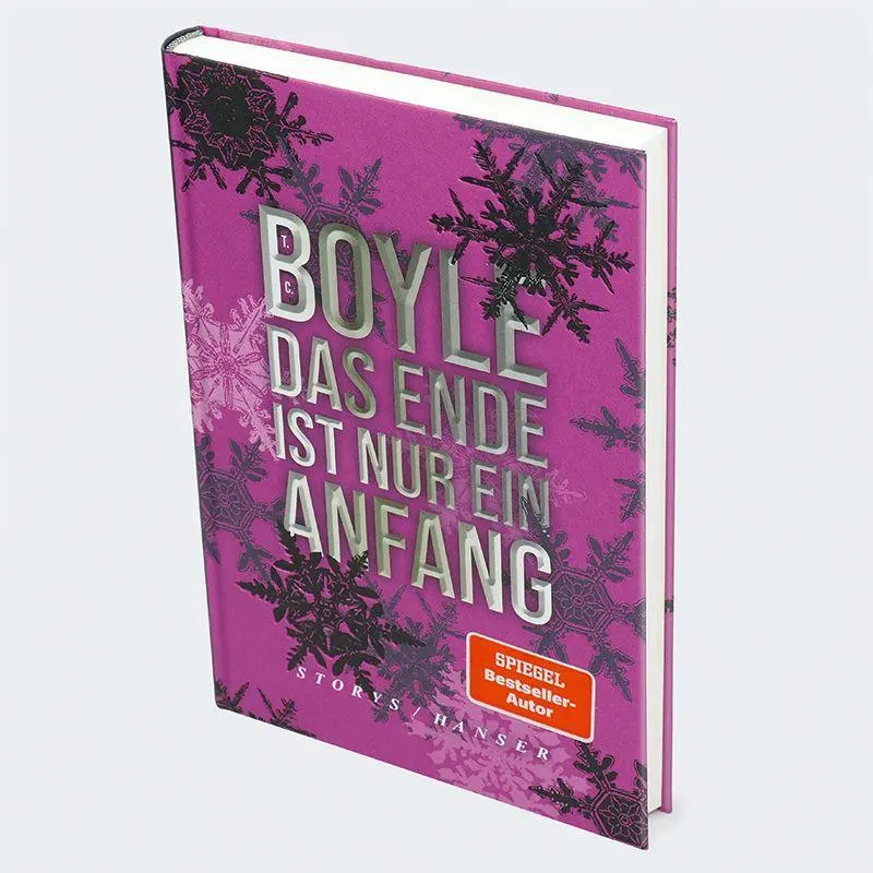 Bild: 9783446288393 | Das Ende ist nur ein Anfang | Storys | T. C. Boyle | Buch | 240 S.