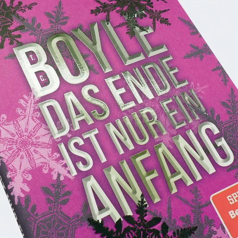 Bild: 9783446288393 | Das Ende ist nur ein Anfang | Storys | T. C. Boyle | Buch | 240 S.