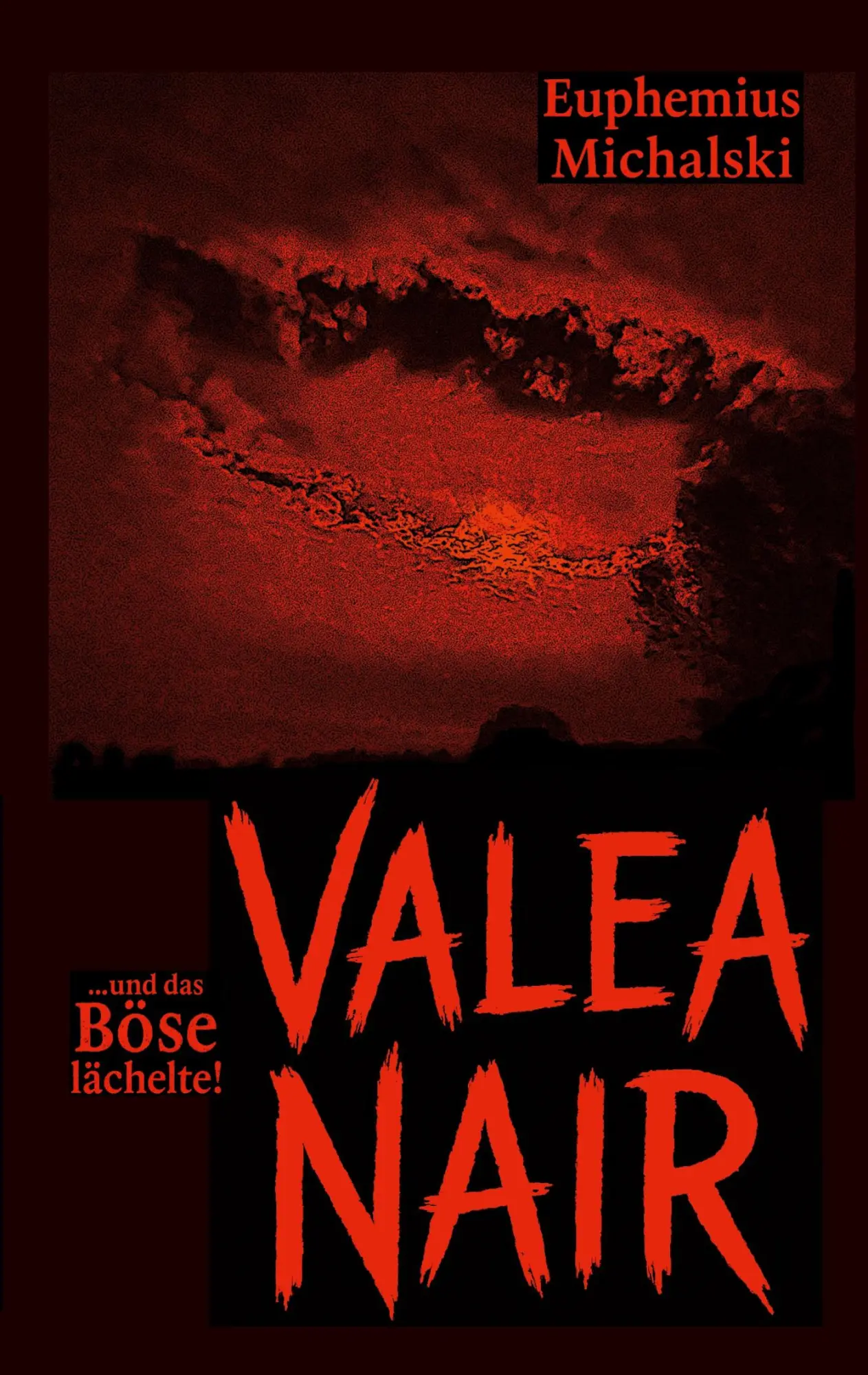 Cover: 9783819208393 | Valea Nair | ... und das Böse lächelte! | Euphemius Michalski | Buch